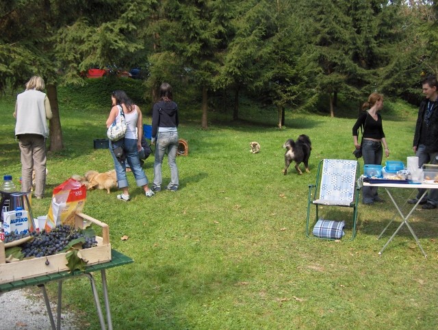 Srečanje Tibetančkov - KD Domžale - 30.9.2006 - foto