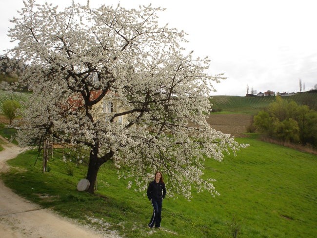 Kora - foto povečava