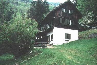 Čemšenik - foto