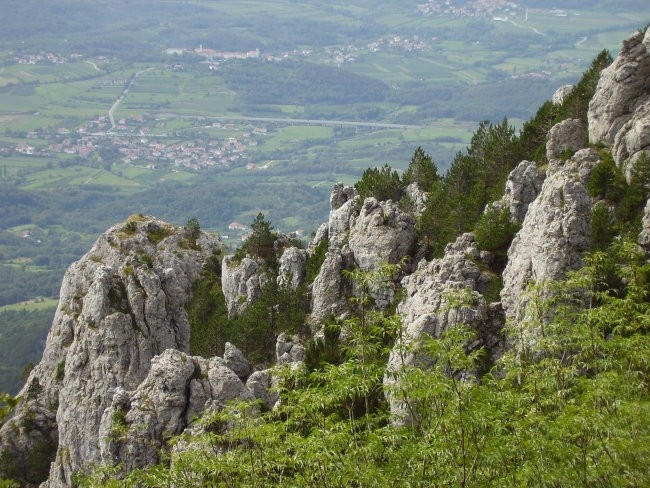 Bivališče raznih ptic in ujed