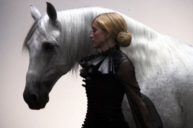 Horses in fashion - foto
