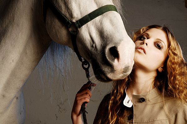 Horses in fashion - foto povečava