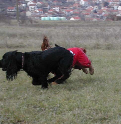 Bla - foto povečava