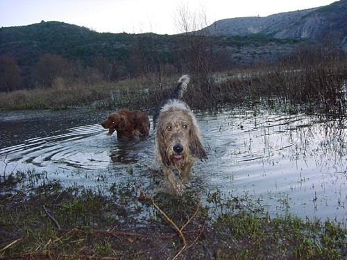 Bla - foto povečava