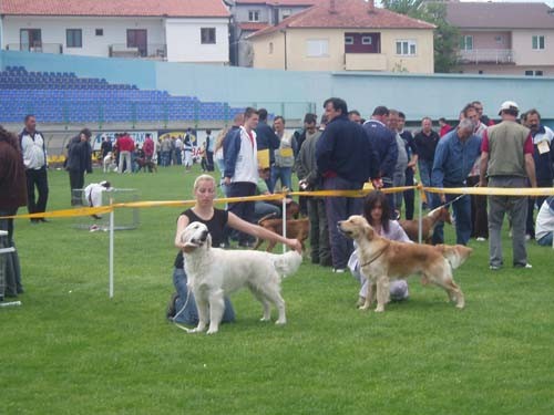 Frida - foto povečava