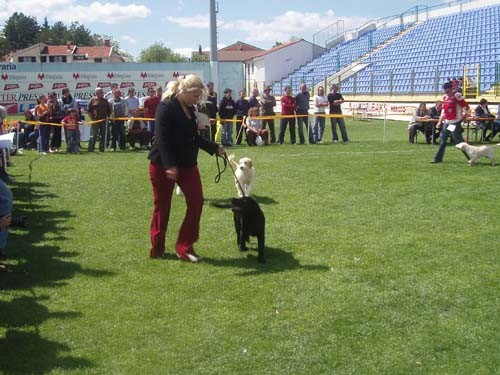 Frida - foto povečava