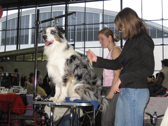 Razstava lj 2006 - foto povečava