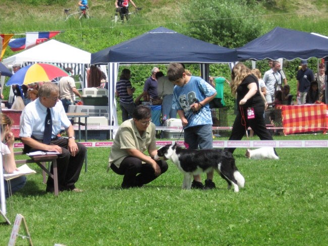 Razstava hrušica 28.5.2006 - foto povečava