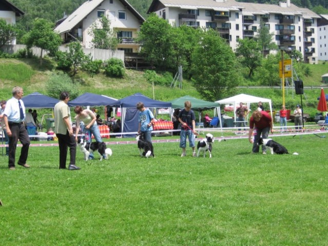 Razstava hrušica 28.5.2006 - foto