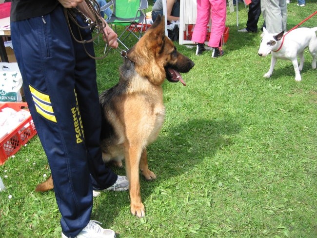 Razstava hrušica 28.5.2006 - foto povečava