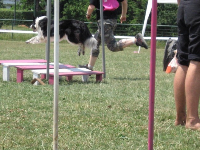 Agility ilirija 9.7.2006 - foto povečava