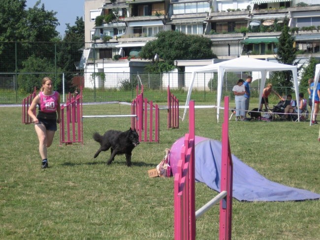 Agility ilirija 9.7.2006 - foto povečava