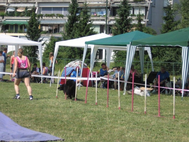 Agility ilirija 9.7.2006 - foto povečava