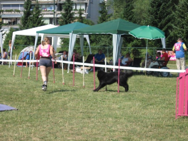 Agility ilirija 9.7.2006 - foto povečava