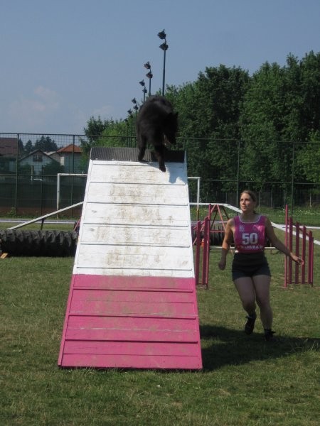 Agility ilirija 9.7.2006 - foto povečava