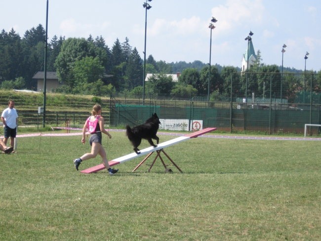 Agility ilirija 9.7.2006 - foto povečava