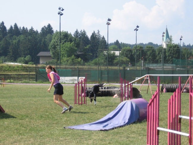 Agility ilirija 9.7.2006 - foto povečava