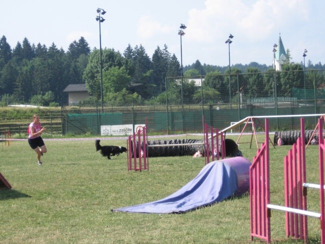 Agility ilirija 9.7.2006 - foto povečava