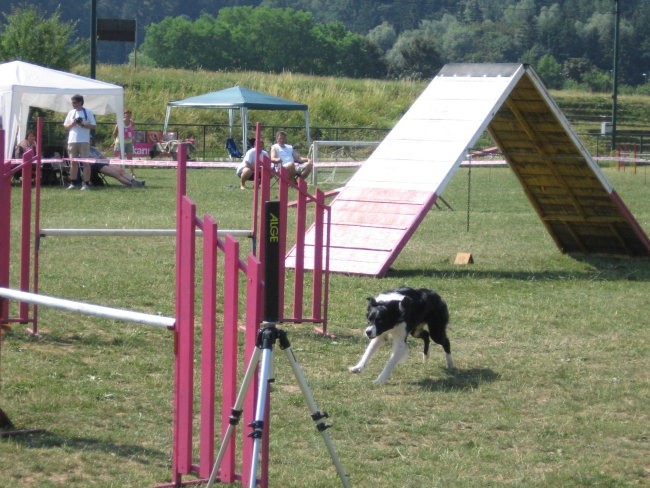 Agility ilirija 9.7.2006 - foto povečava