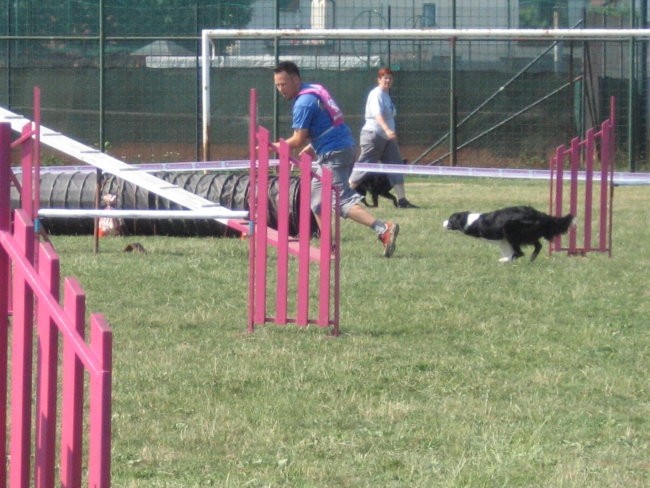 Agility ilirija 9.7.2006 - foto povečava