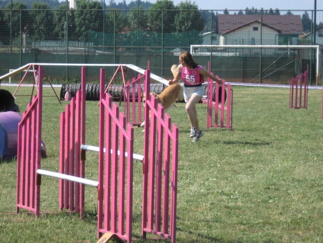 Agility ilirija 9.7.2006 - foto povečava