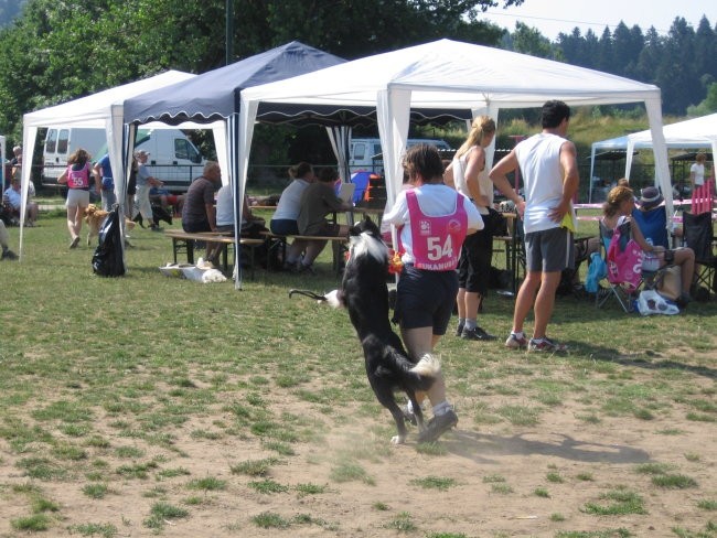 Agility ilirija 9.7.2006 - foto povečava