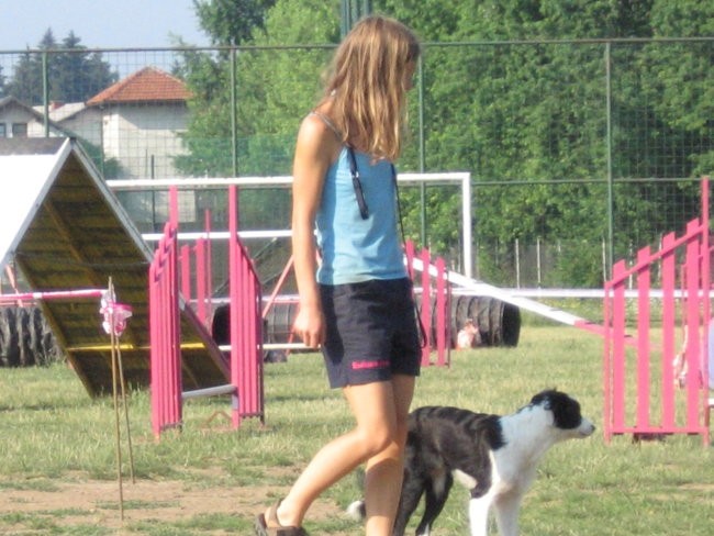 Agility ilirija 9.7.2006 - foto povečava