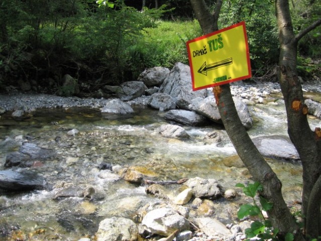 Fly v robidišču (najbolj zahodni slo. vasi) - foto