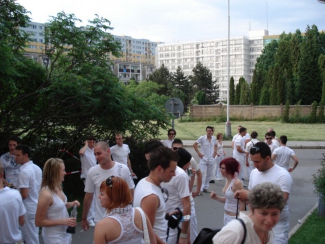 Sensation White Praha 2008 - foto