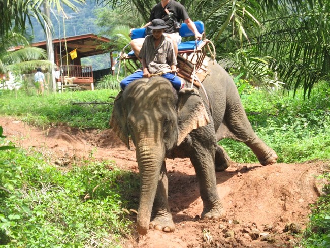 Thai- Koh Phi Phi - foto povečava