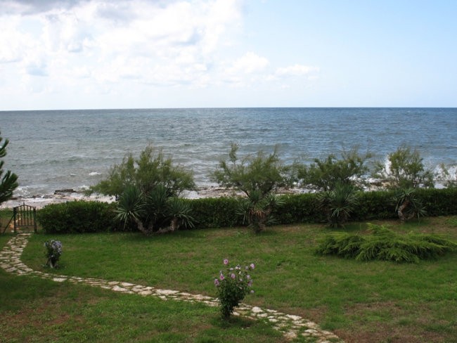 Morje-Umag oz. Cookie- 4 meseci - foto povečava