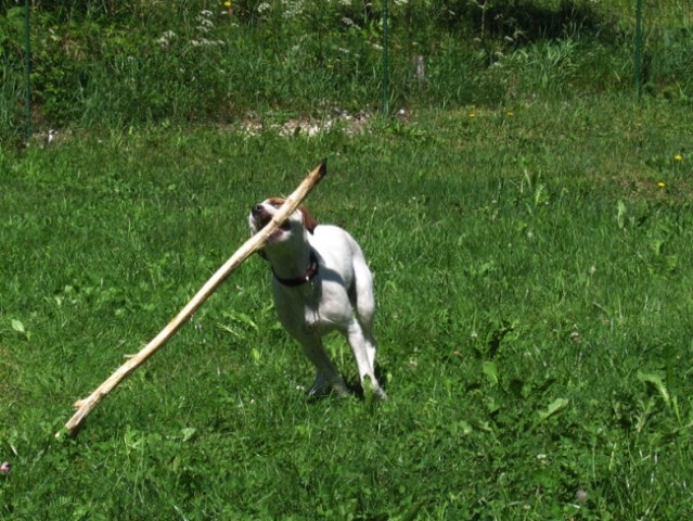 Bovec 07 - foto