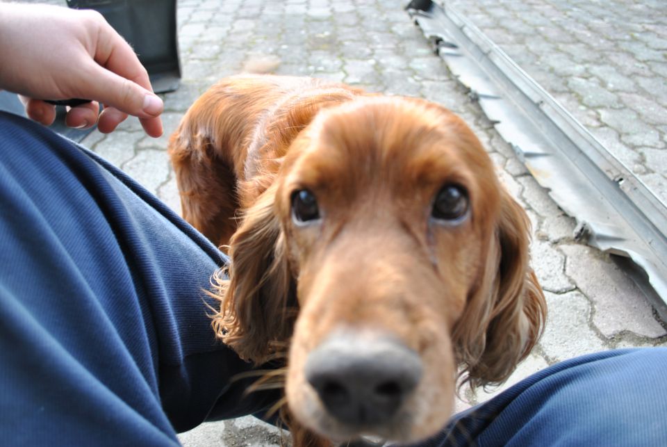 E30 - foto povečava