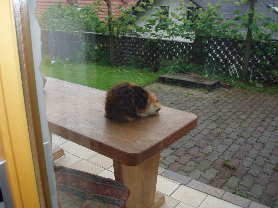 Mack - foto povečava