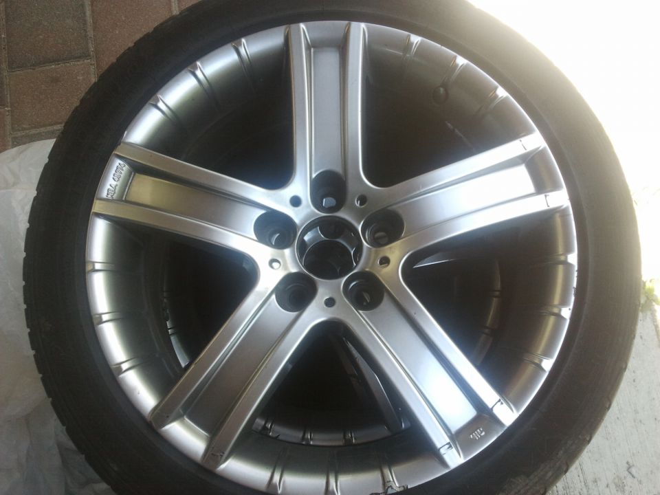 šestica - foto povečava