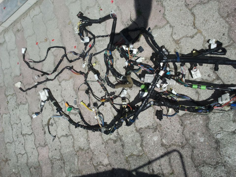 šestica - foto povečava