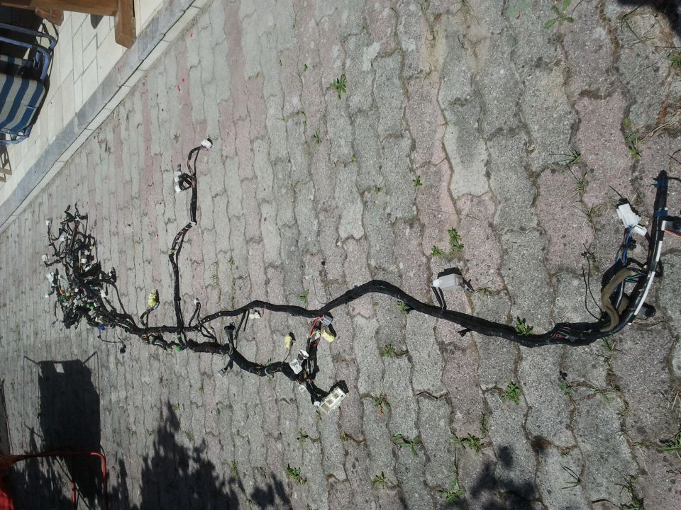 šestica - foto povečava