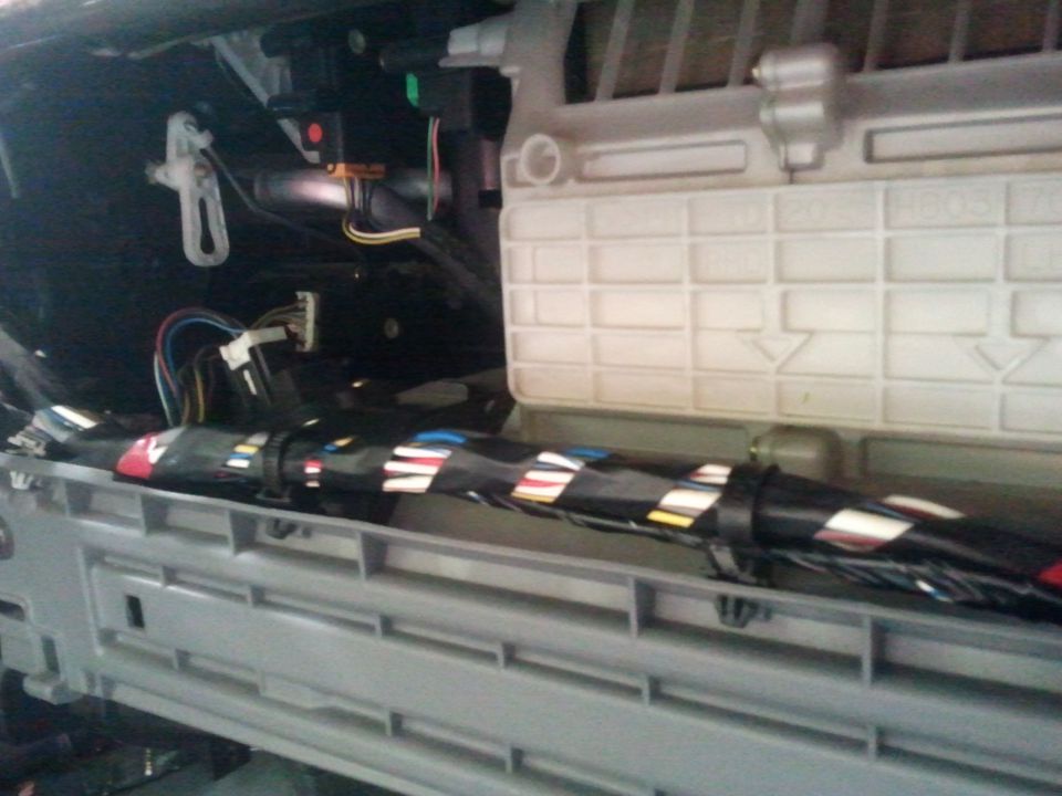 šestica - foto povečava