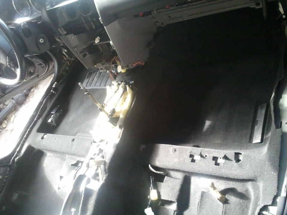 šestica - foto povečava