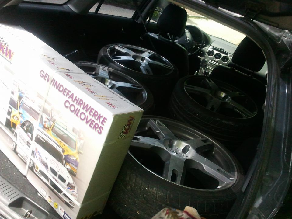 šestica - foto povečava