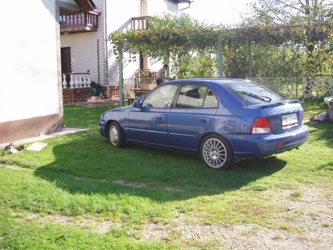 Accent - foto povečava