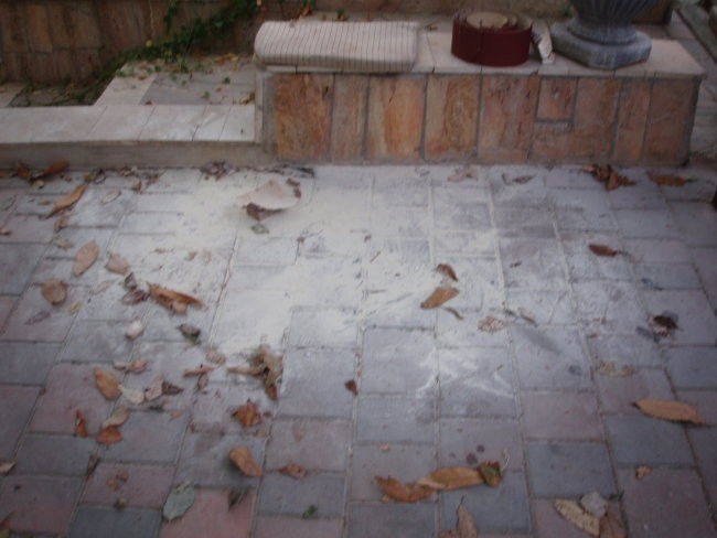 Poliestriranje - foto povečava