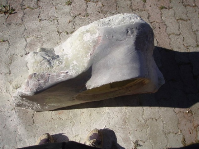 Poliestriranje - foto