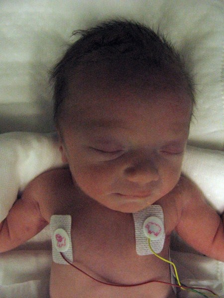 Gašperjevi prvi dnevi v porodnišnici - foto povečava