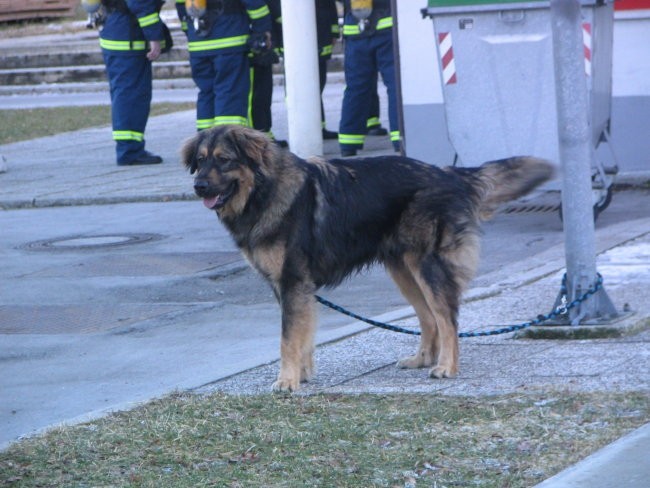 Ig-Izobraževalni center...-trening, 22.01.200 - foto povečava