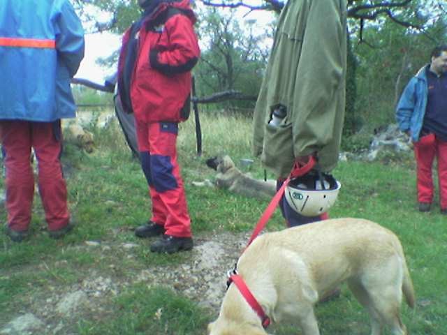 Zanigrad, trening, 10.10.2004 - foto