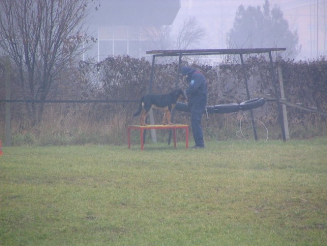 Koper-poligon-trening, 25.12.2004 - foto