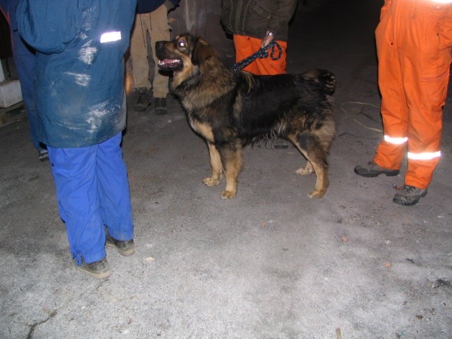 Koper-skladisca Slavnik-trening,18.02.2005 - foto povečava