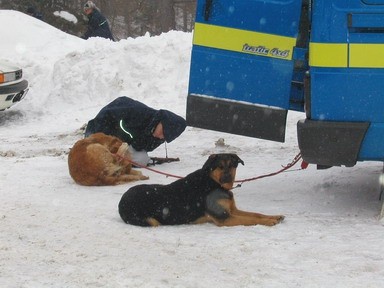 Vršič Zimski tabor - Lavine 11-12.3.05 - foto povečava