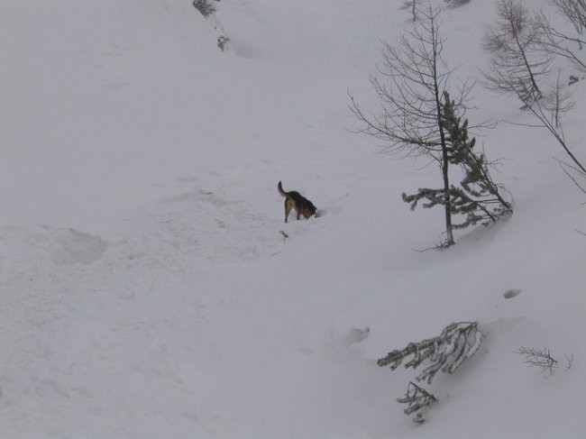 Vršič Zimski tabor - Lavine 11-12.3.05 - foto povečava